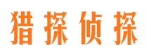 东源市调查公司